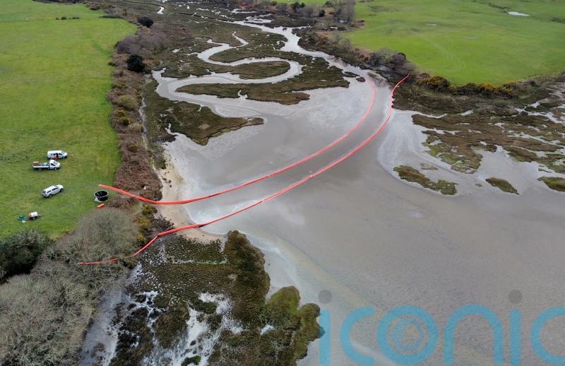 Warning over catching shellfish in Poole Harbour after oil leak