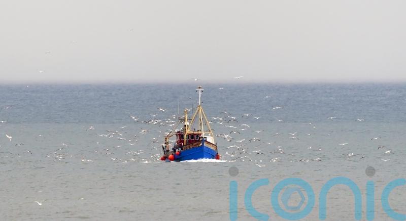 Eating mackerel no longer sustainable because of overfishing, says charity