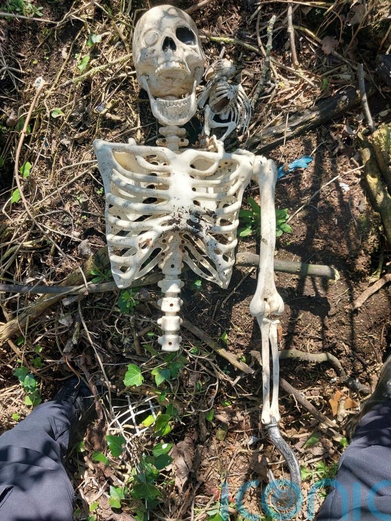 ‘Human bones’ garden find was toy pirate skeleton with parrot