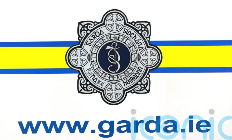 Woman pedestrian dies after being hit by car