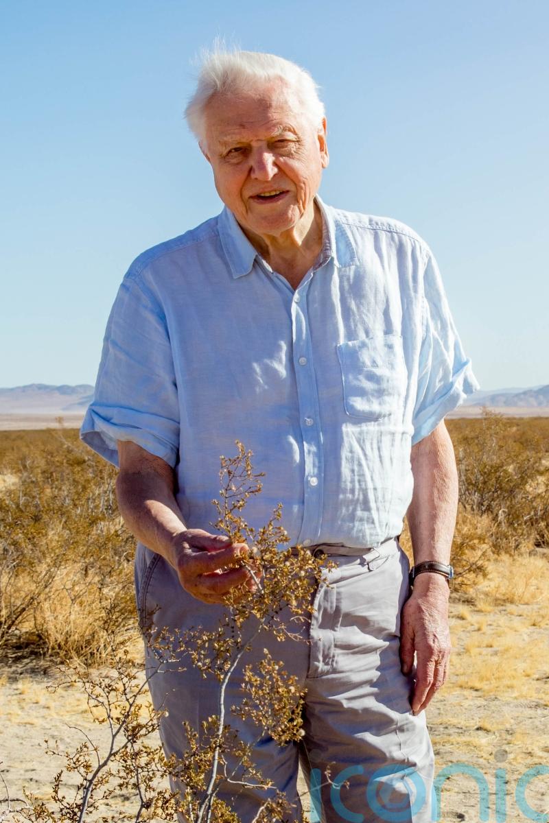 Sir David Attenborough unearths skull of Jurassic predator in new BBC programme
