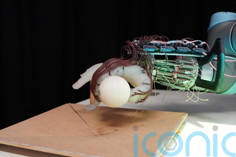 Scientists design robot hand that can grasp objects based on wrist movement