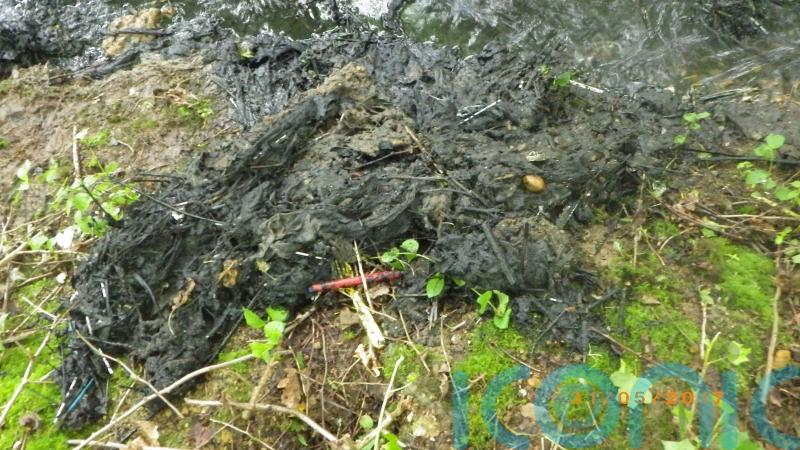 More than 3,000 storm overflows regularly dumped sewage into waterways last year
