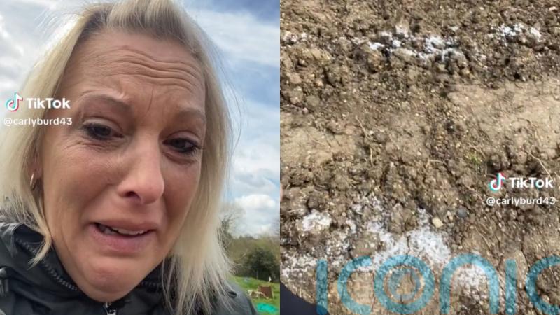 ‘Complete dream’ for founder of vandalised allotment as fundraiser soars