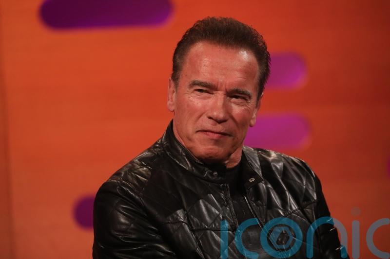 Arnold Schwarzenegger ‘fills in pothole which was actually a service trench’
