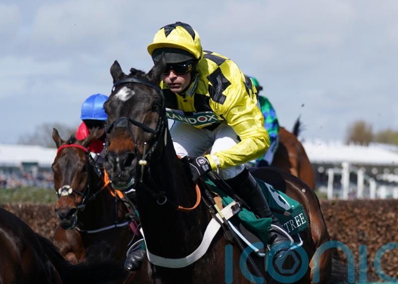 Super Shishkin shines on step up to three miles