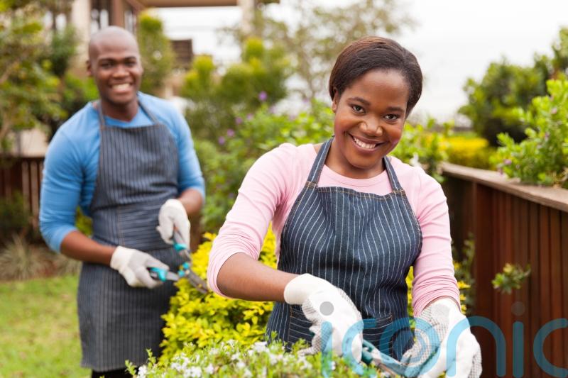 How to keep your home and garden protected as the days get lighter