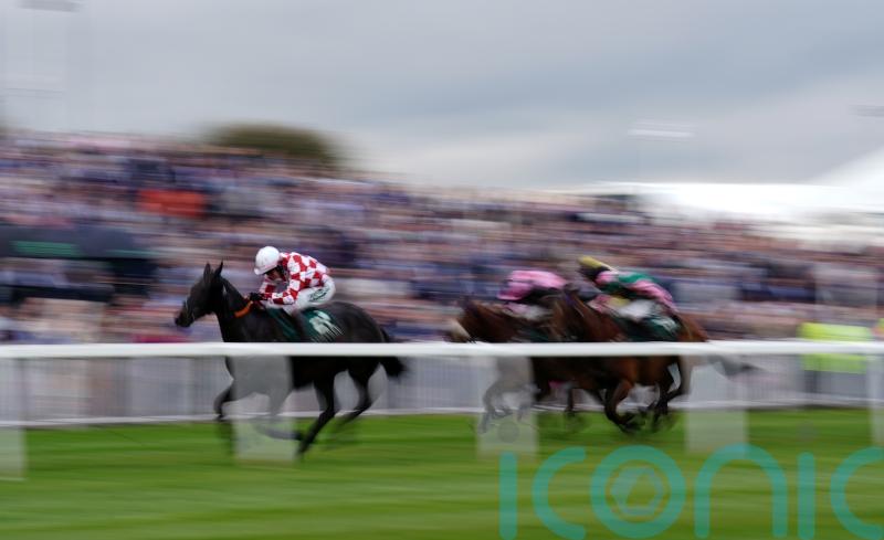 Hundreds of activists set to disrupt Grand National