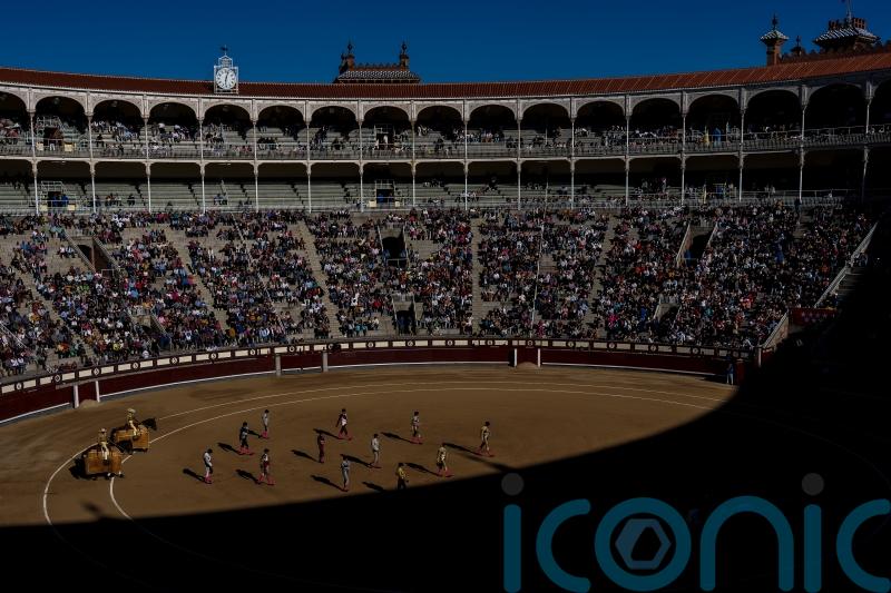 Young people drive bullfighting’s resurrection in Spain