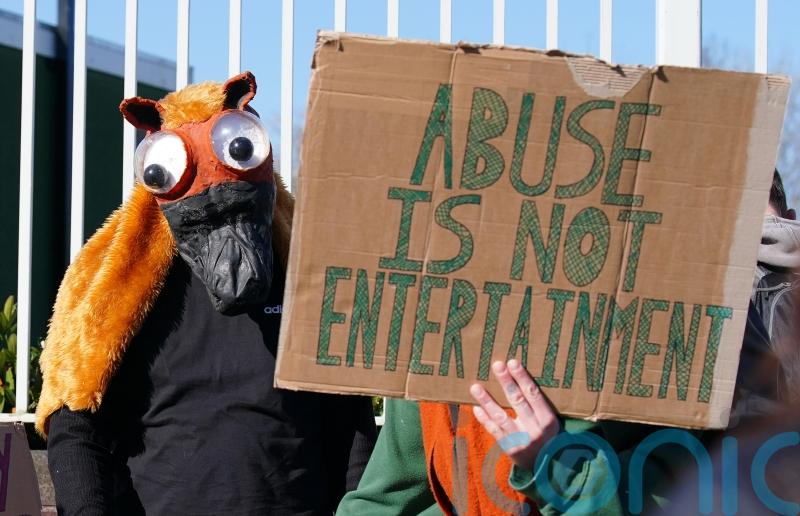 RSPCA calls for horse safety reforms as racing chiefs defend Grand National