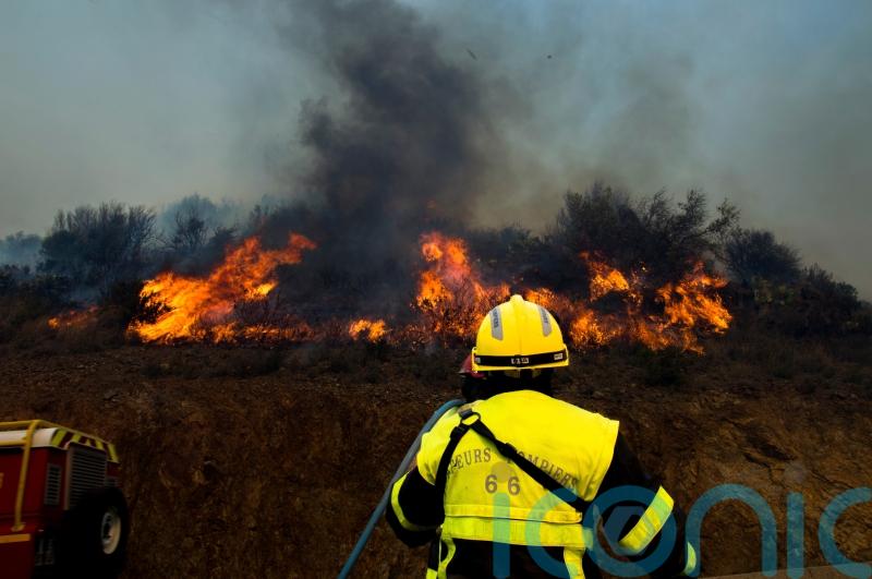 Firefighters tackle France’s first major forest blaze of 2023