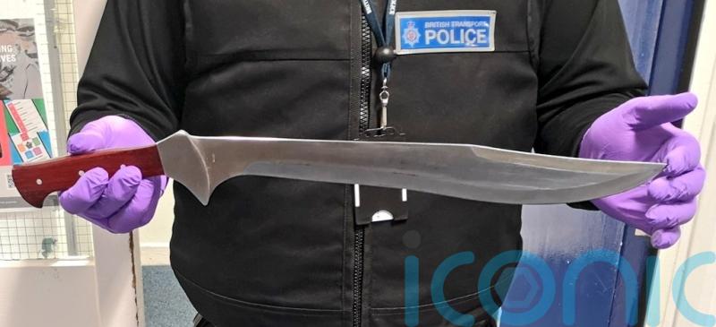 Plans to ban more machetes and zombie knives used by criminals in legal loophole