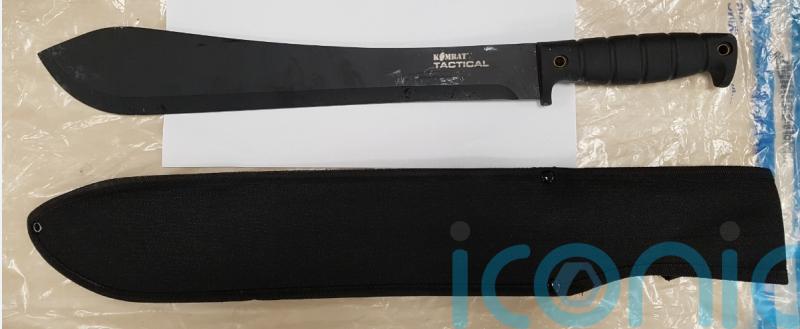 Ministers urged to introduce gun-style licensing laws for machetes