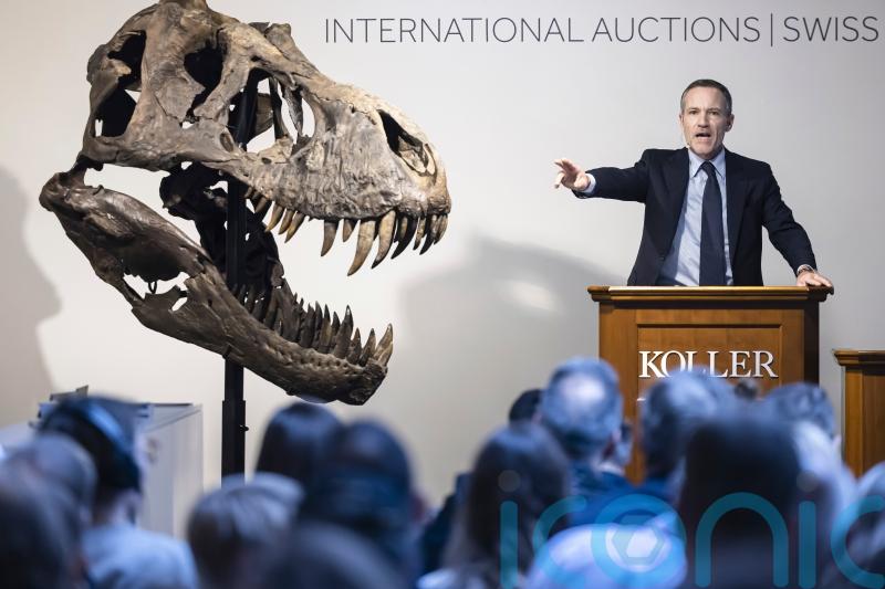 T rex skeleton sells for more than £4 million at Zurich auction