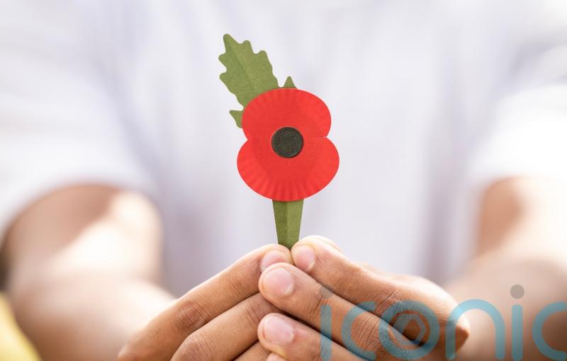 New plastic-free ‘planet-friendly’ poppy partly made from discarded coffee cups