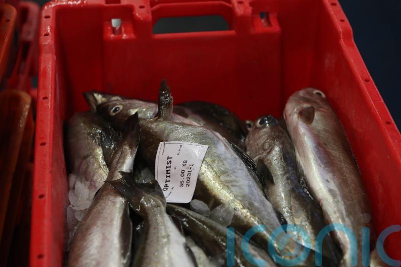 Opposition parties call for marine protection plans to be scrapped