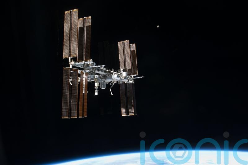 Mice sent to ISS reveal possible link between gut bacteria and bone loss