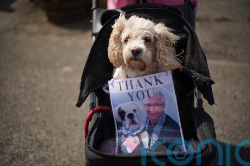 Paul O’Grady’s love of dogs celebrated with canine welcoming party at funeral