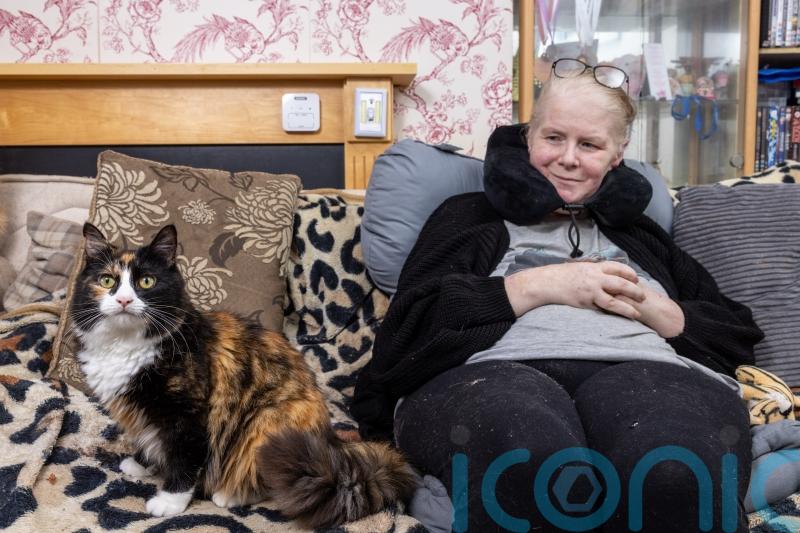 Cat who ‘saved’ diabetic owner’s life among finalists in National Cat Awards