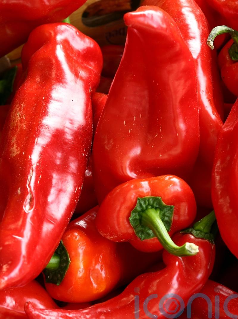 Supermarkets run out of peppers after cold snap in Spain