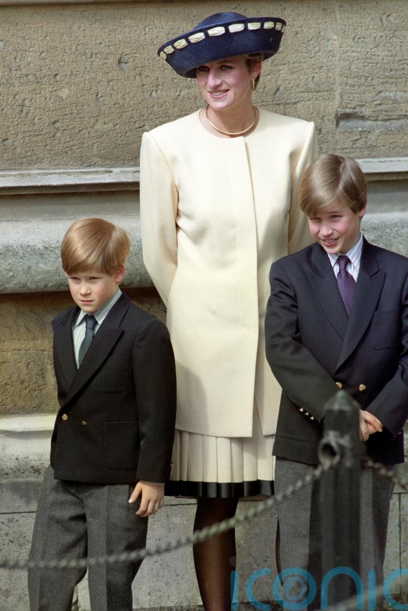Allegations of ‘suspicious’ articles in Duke of Sussex statement