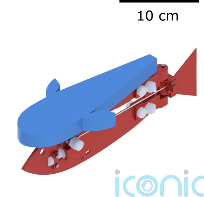 Robot fish could make underwater exploration more accessible – study