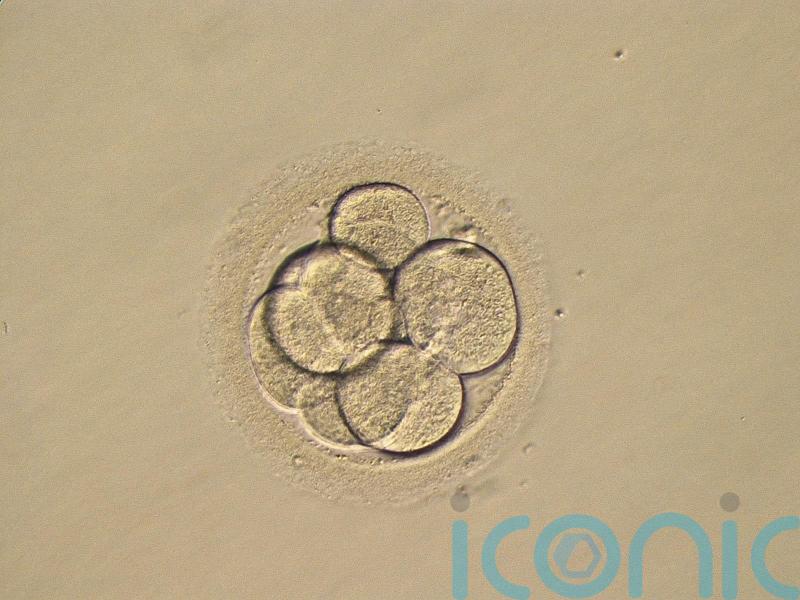 Thousands born by donor eggs or sperm set to find out biological origins