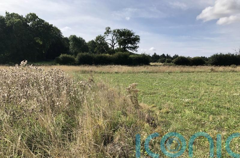Government plans falling short of net zero farming pledges, report finds