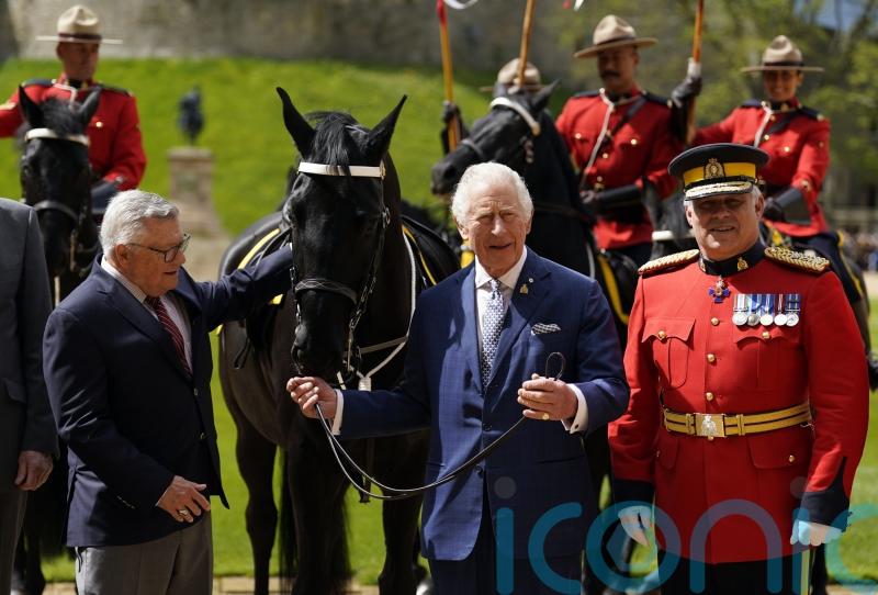 King presented with new royal horse and commemorative sword at Windsor Castle