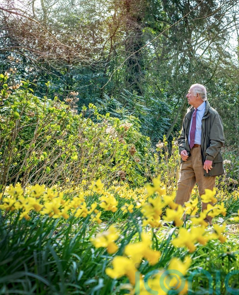 Wildflower seeds for primary schools to mark coronation  