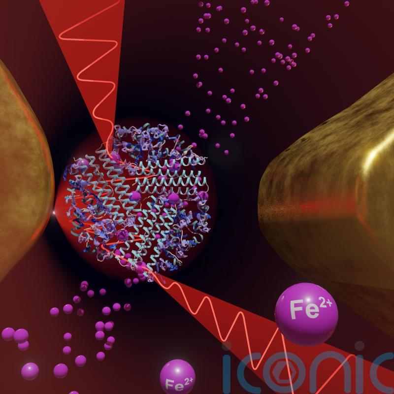 Study of single protein ‘paves way to improved understanding of disease’