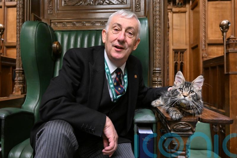 Attlee the cat has done mouse check ahead of coronation – Sir Lindsay Hoyle