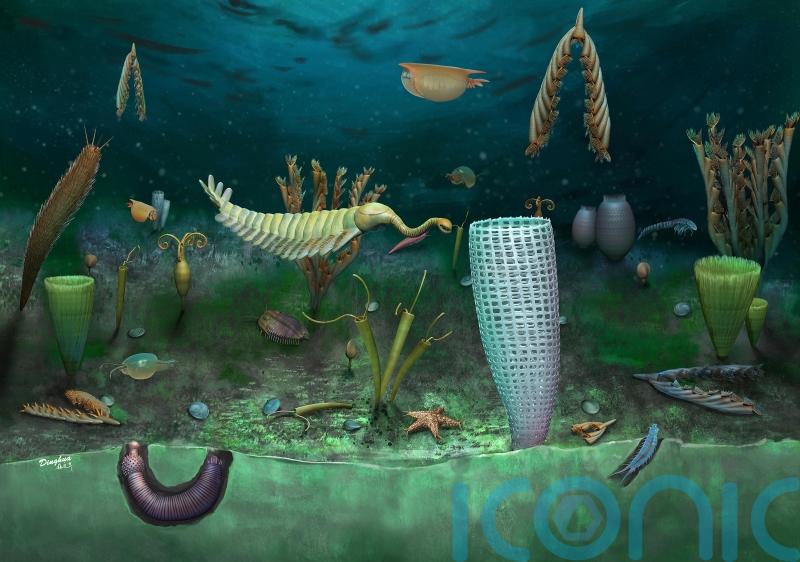 One of the world’s greatest fossil finds made in Wales
