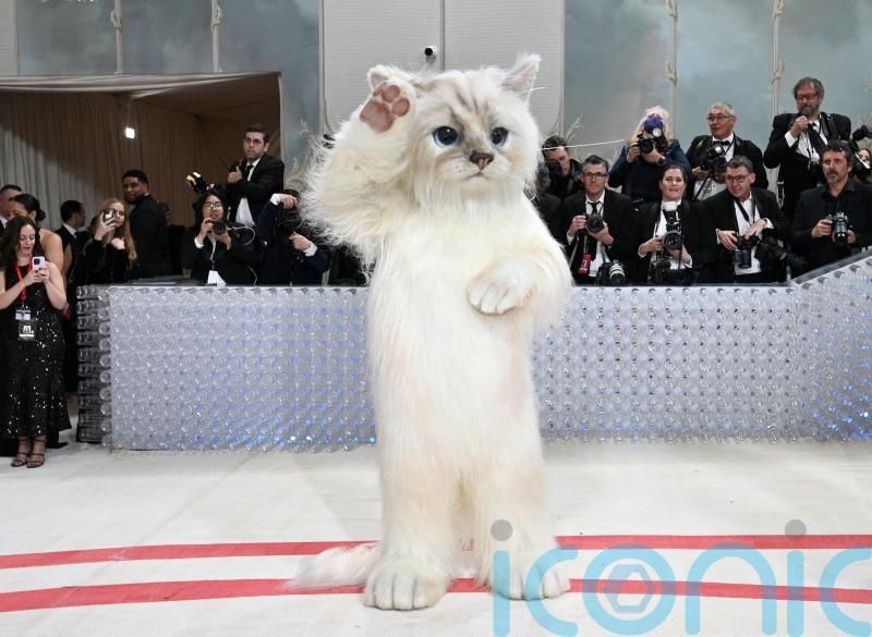 Karl Lagerfeld’s cat honoured at Met Gala with feline-inspired outfits