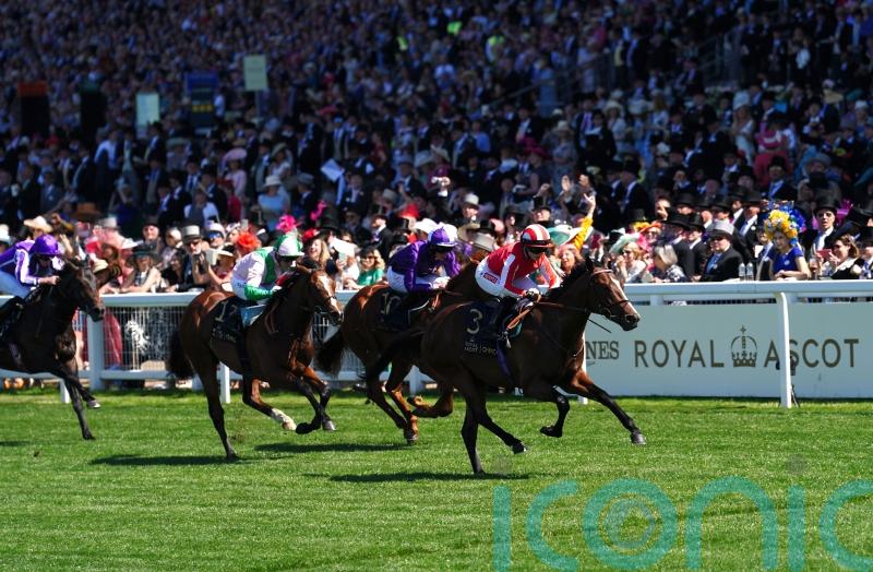 Bradsell returns in cracking Commonwealth Cup Trial