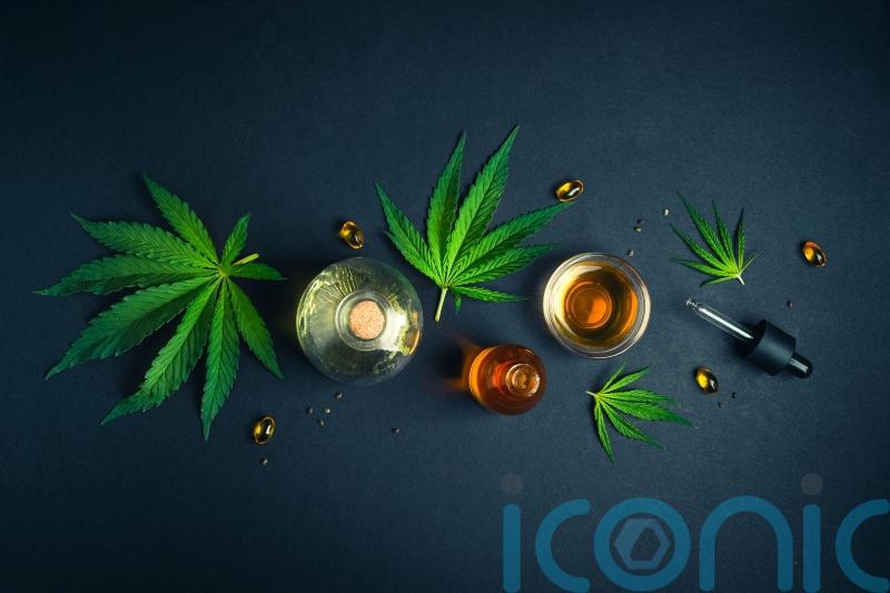 Medicinal cannabis ‘helps relieve cancer pain’ and cuts need for drugs – study