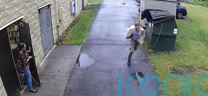 ‘A complete surprise’: Bear scares principal by jumping out of bin at US school