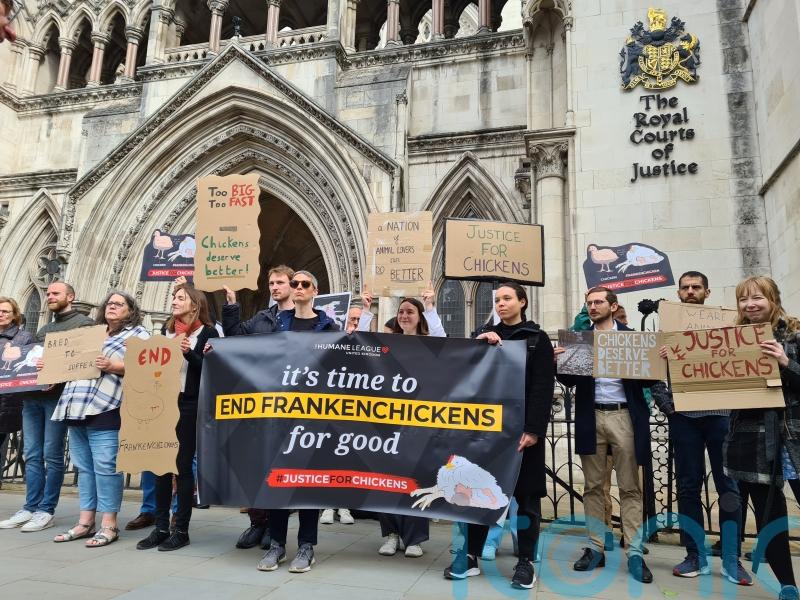Animal welfare charity takes Government to court over Frankenchickens