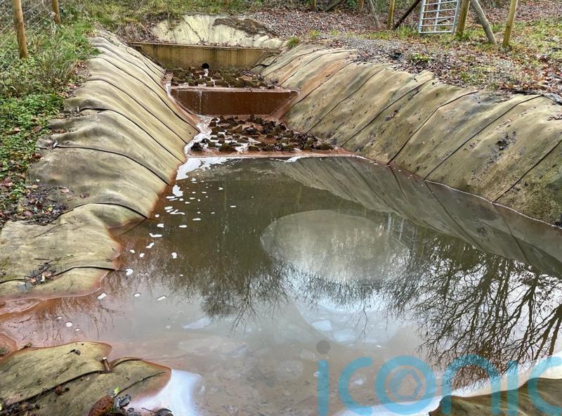 Toxic industrial chemicals found in run-off water in woodland near landfill