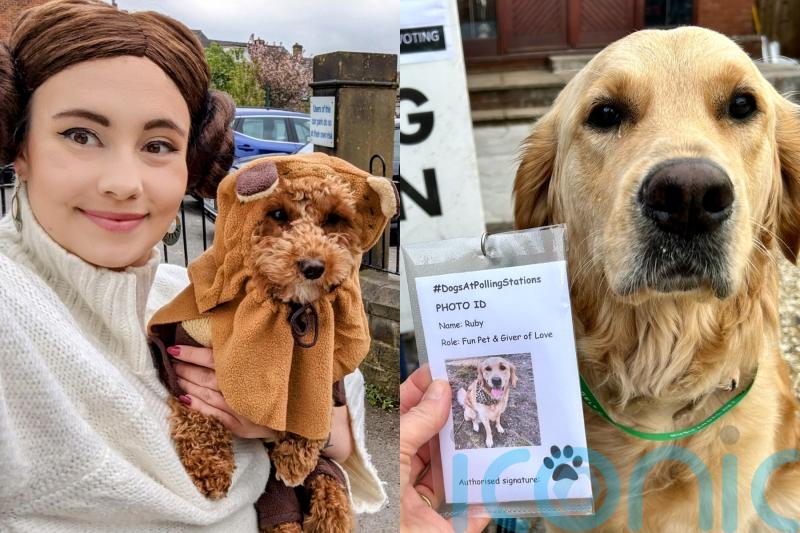 Dogs flock to polling stations with Star Wars outfits and photo ID