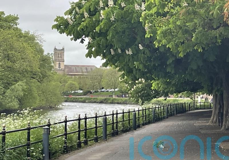 Man in court charged with attempted murder after woman in 70s stabbed