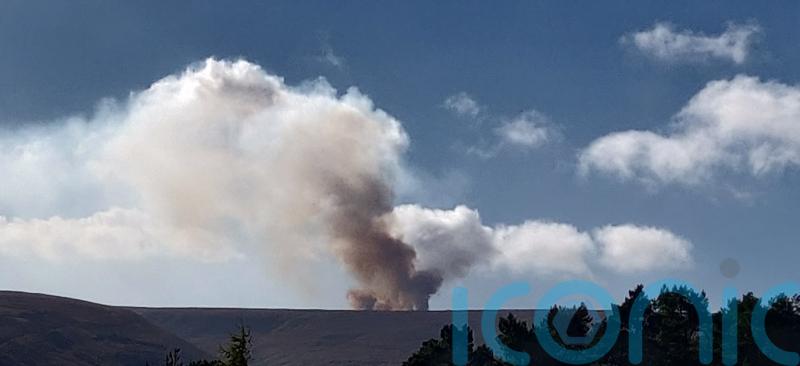 Real estate company fined for burning peatland in protected area