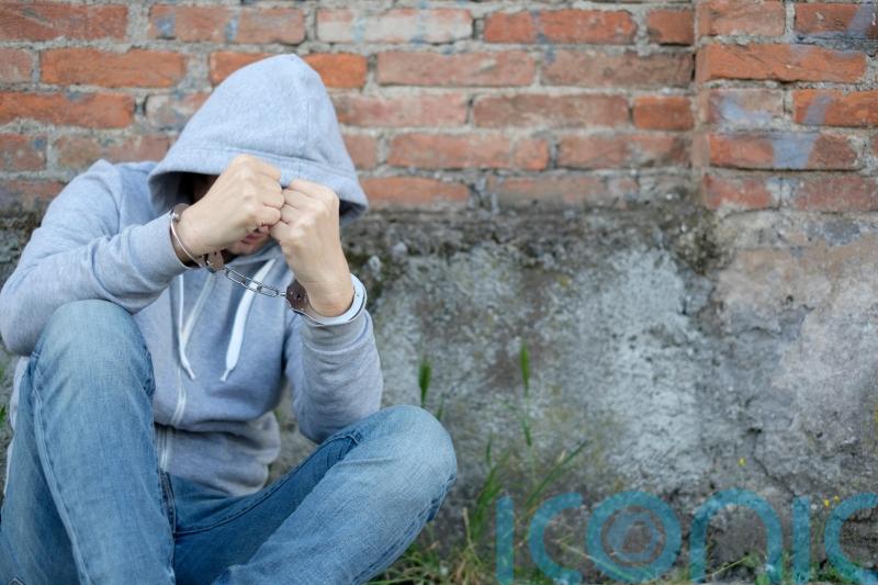 Sentencing changes for young offenders should be flexible, says committee