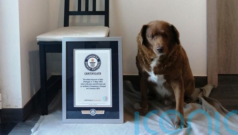 World’s oldest dog celebrates 31st birthday in Portugal
