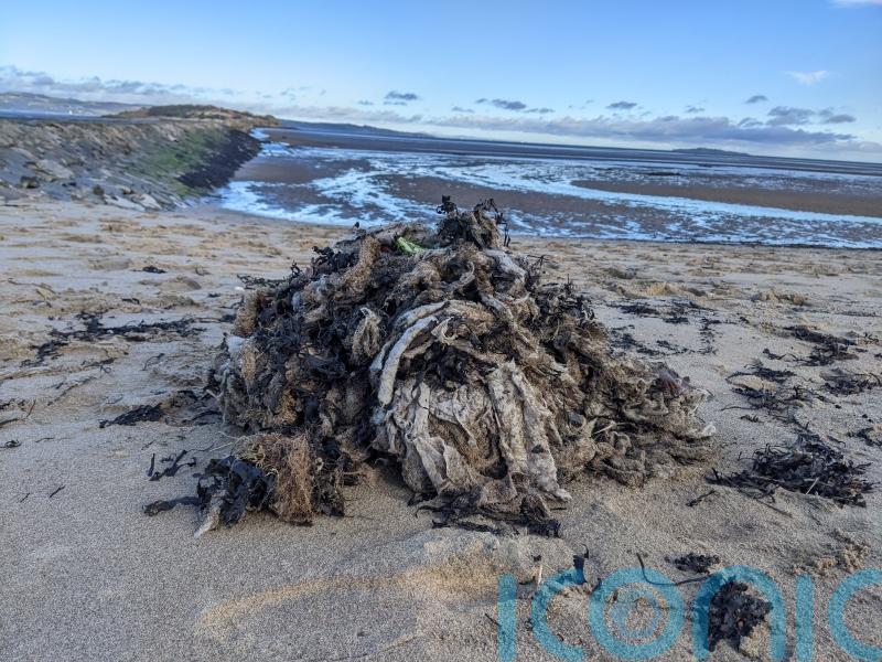 Sewage dumped in Scottish seas for 113,000 hours last year, campaigners warn