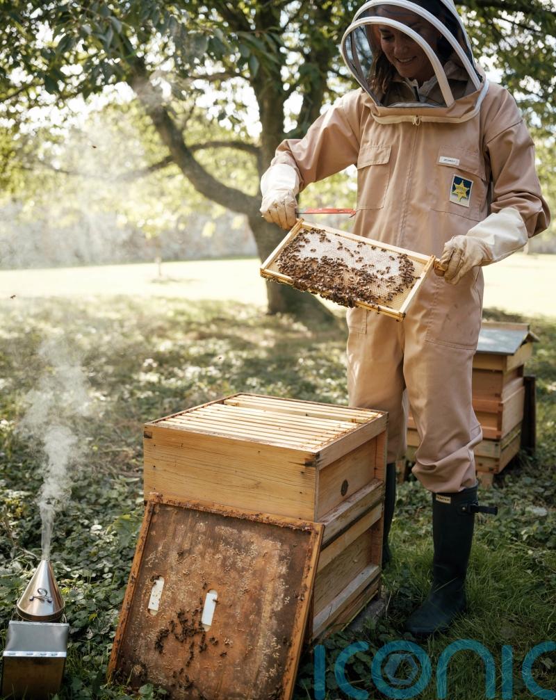 Smiling Princess of Wales gets a buzz out of beekeeping