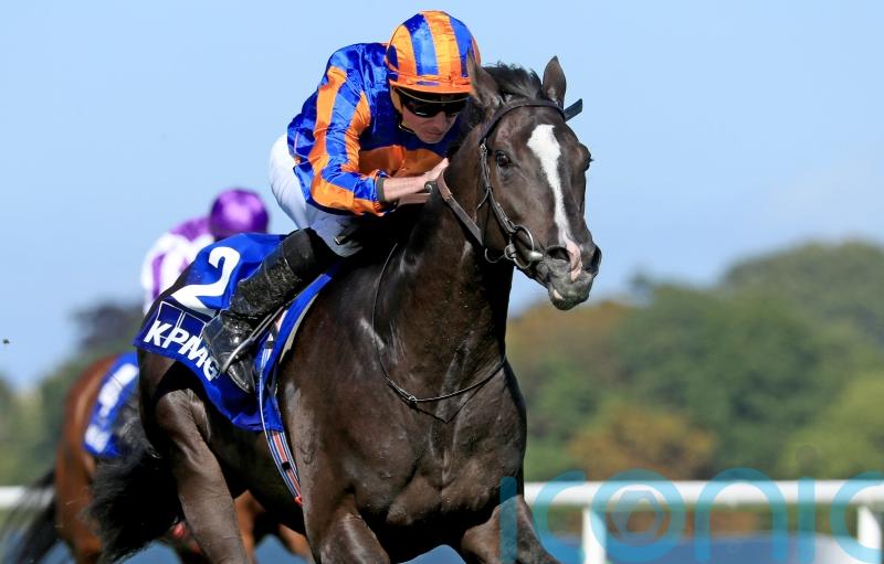 O’Brien still pinning Derby hopes on Auguste Rodin