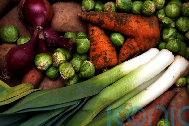 Plant-based diets may be linked to lower cholesterol levels – study