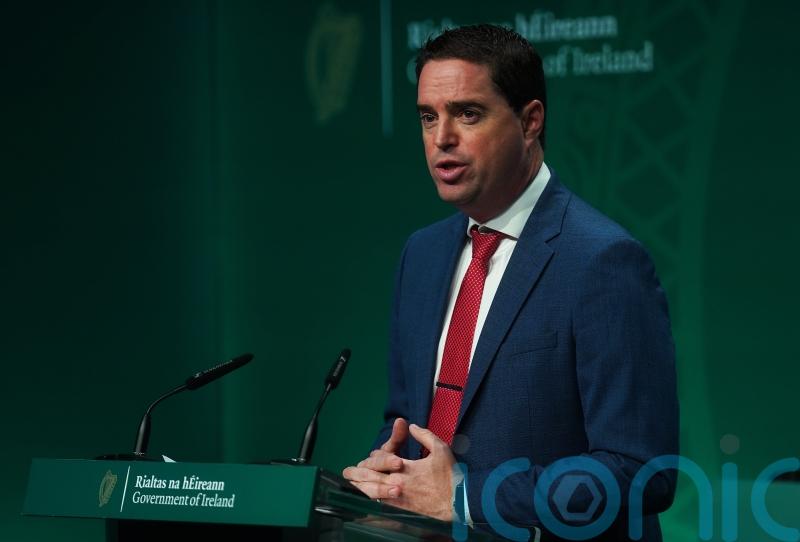 Fianna Fail ‘not target audience’ for newspaper budget article, says Kildare Minister