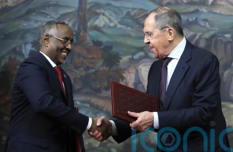 Russia offers support to Somalian army in fight against terror groups